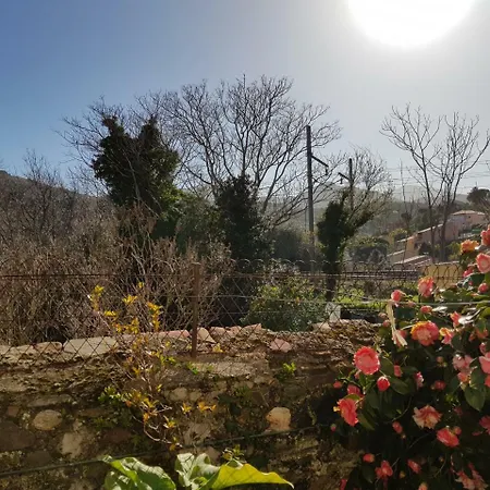 Rue De L Aire 4air5 Collioure